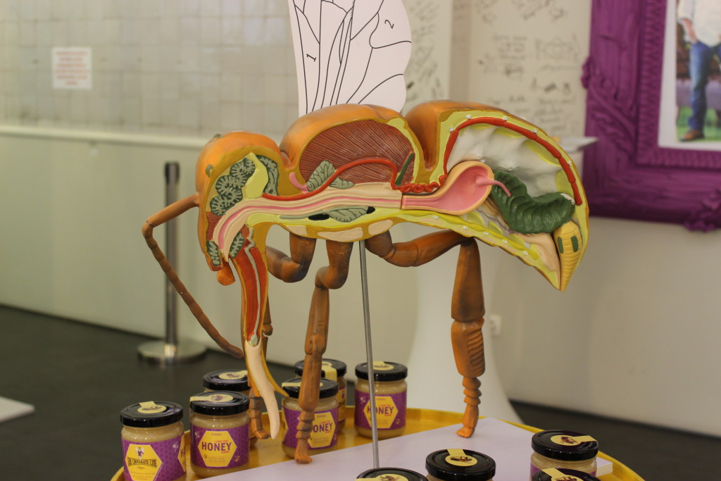 Dominique Persoone - The Honey Project