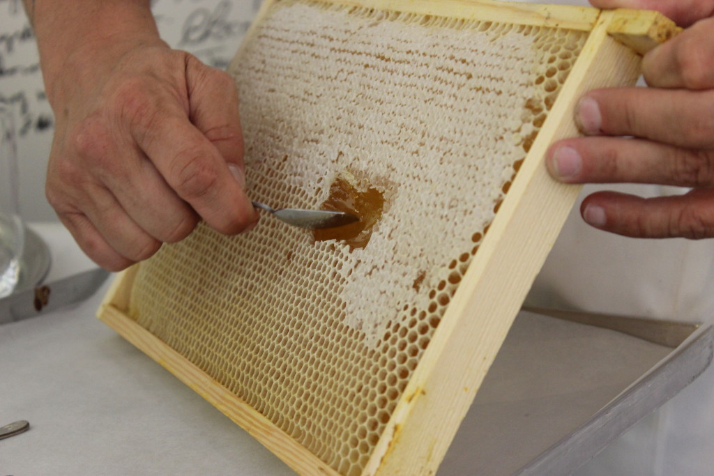 Dominique Persoone - The Honey Project
